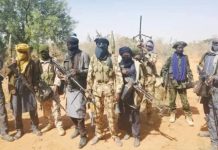 Hope Rises as 100 Kidnapped Niger Pupils Regain Freedom