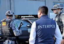 INTERPOL Arrests Two in Nigeria Over $2.4m Investment Fraud, 2.1 Million Email Addresses