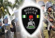Why Nigeria Police Suspended tinted glass crackdown nationwide