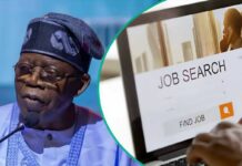 7 Mistakes Costing Thousands of Nigerians Federal Government Jobs