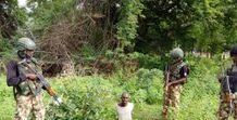 Troops Arrest Sudanese Terror Suspect, Ghanaian Illegal Immigrant in Borno