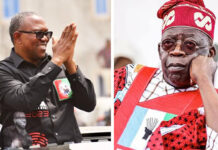 Nigeria’s 2027 Poll Map Turns Green as Tinubu Takes 21 States