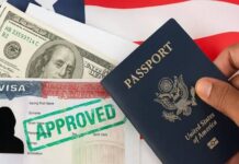 Want to Relocate to America Through Family? Here’s What You Need to Know